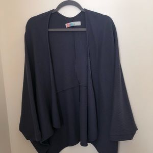 Free People Indigo Sweater